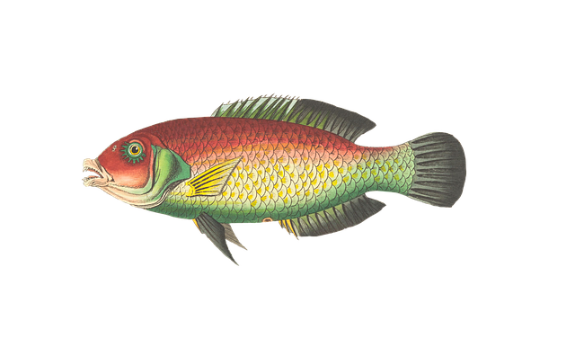 Rundfahrt mit Fisch-Menü am Karfreitag Rundfahrt mit Fisch-Menü am Karfreitag